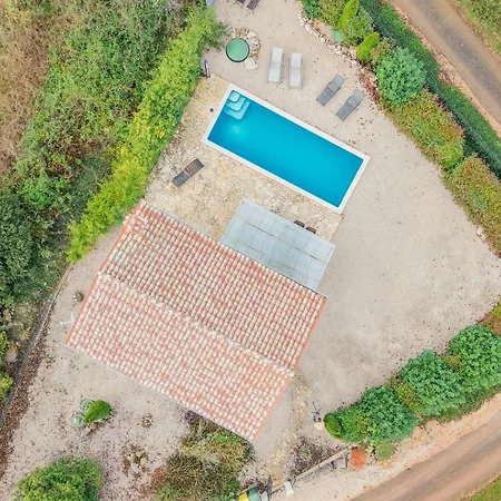 Shana * Visnjan