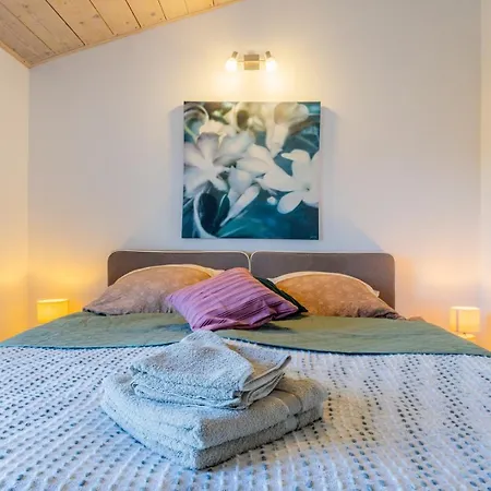 Shana Villa Višnjan