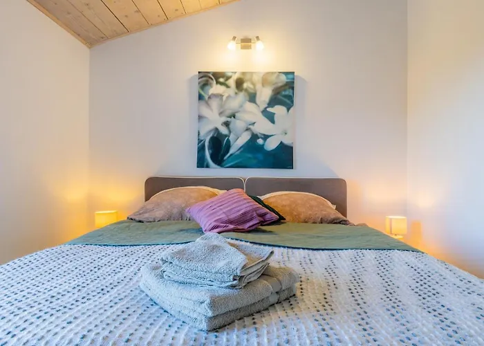 Shana Villa Višnjan